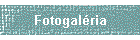 Fotogal�ria
